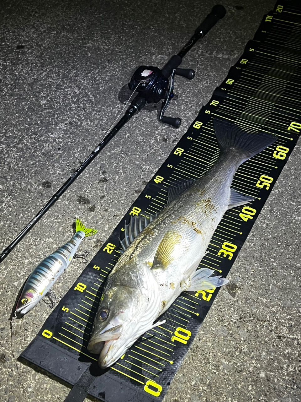 DAIWA 23ソルティスト TW PE SPECIAL 300XHLの最安値・インプレ・釣果