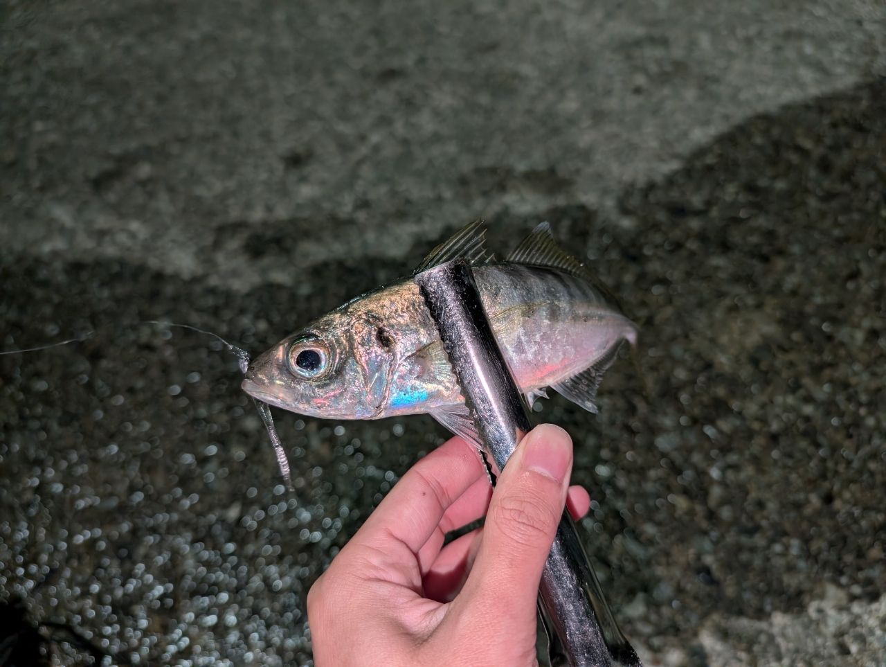 SHIMANO 18ソアレ SS アジング S68UL-Sの最安値・インプレ・釣果