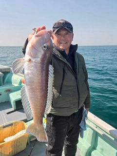 シロアマダイの釣果
