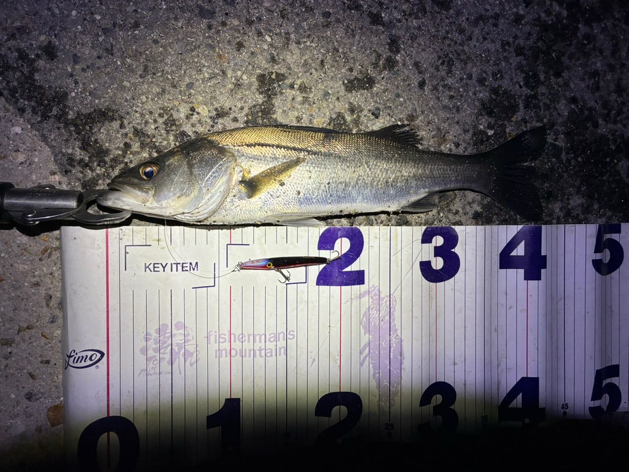 SHIMANO 23ディアルーナ S90Lの最安値・インプレ・釣果 | 本音の口コミ