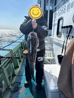 タラの釣果