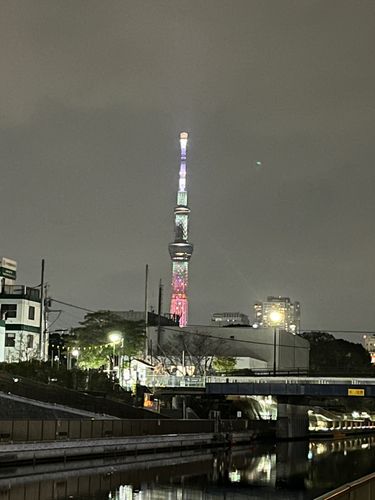 ハゼの釣果