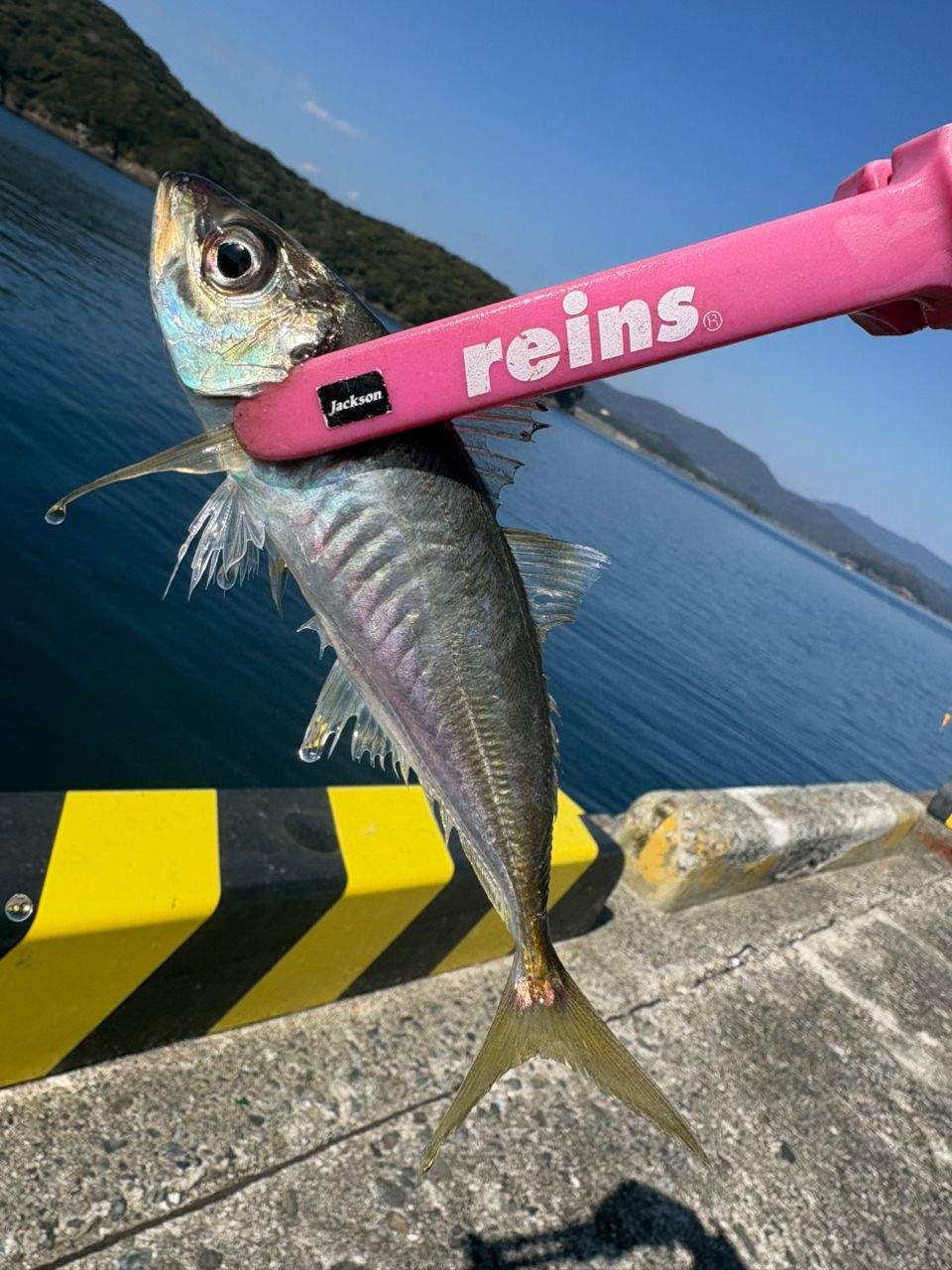 OLYMPIC 23コルト UX 23GCORUS-572UL-HSの最安値・インプレ・釣果