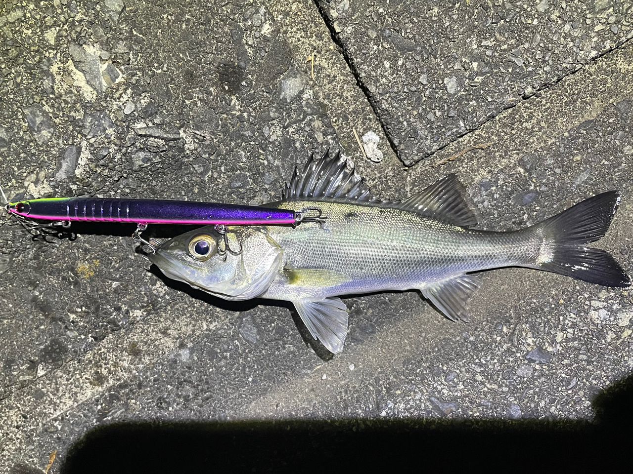 DAIWA 19ラテオ R 93MLの最安値・インプレ・釣果 | 本音の口コミが