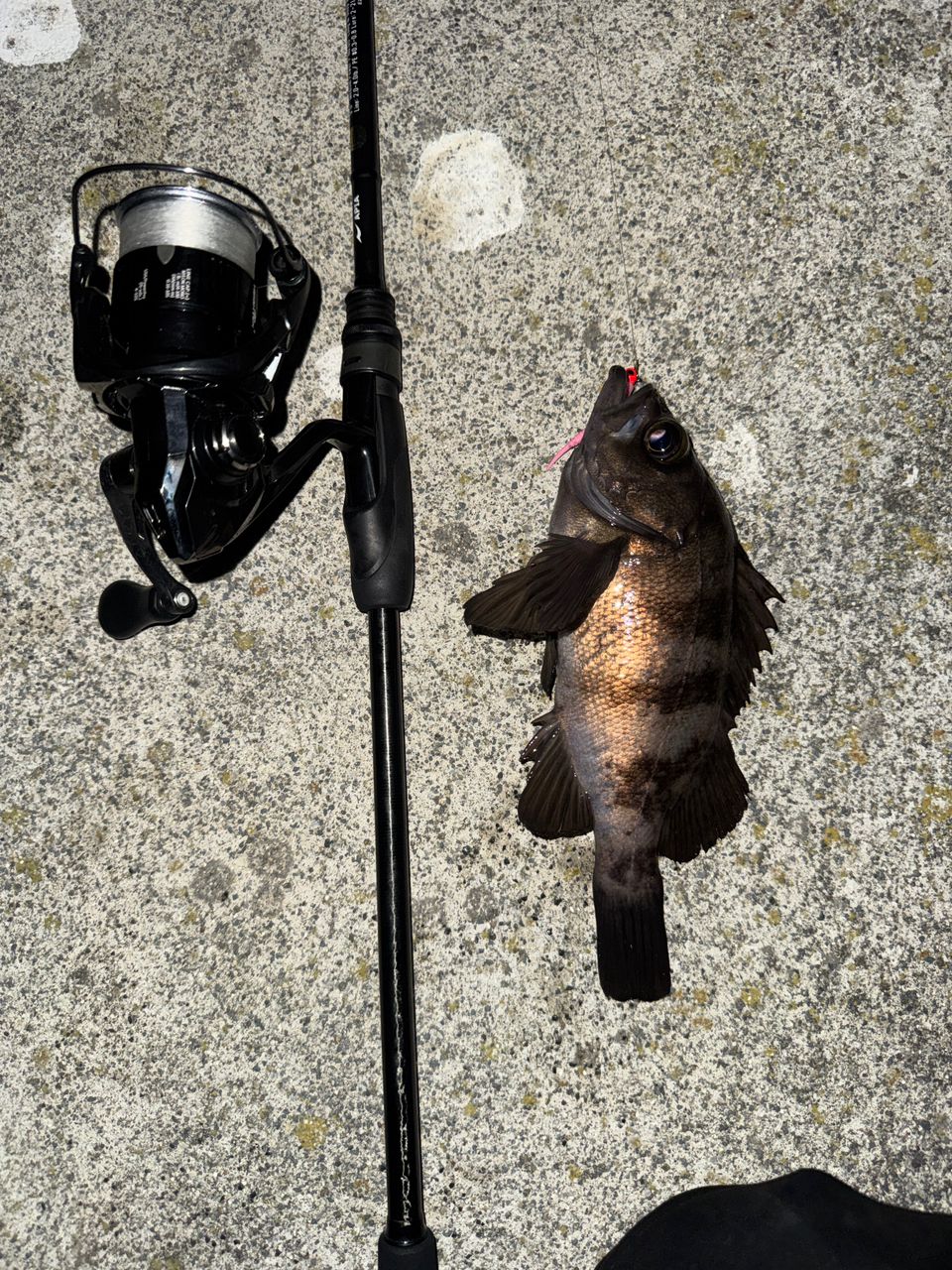 APIA グランデージ ライト 90の最安値・インプレ・釣果 | 本音の口コミ