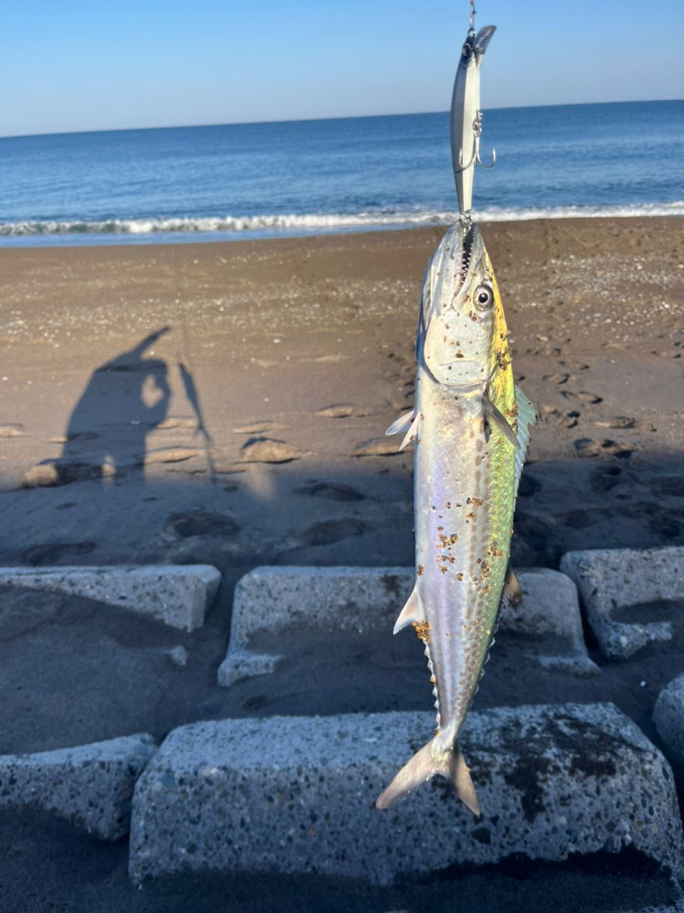 SHIMANO 22コルトスナイパーSS LSJ S100MLの最安値・インプレ・釣果