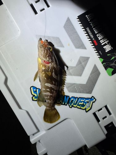 釣果