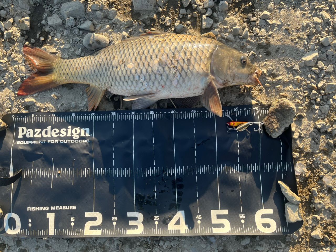 DAIWA 21ブレイゾン C66M-2の最安値・インプレ・釣果 | 本音の口コミが