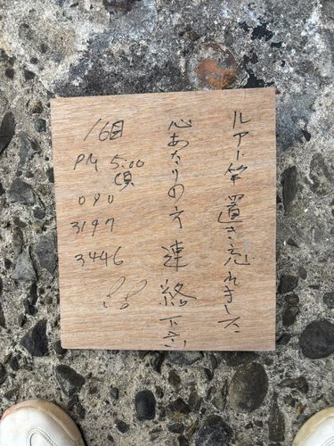 ミナミハタンポの釣果