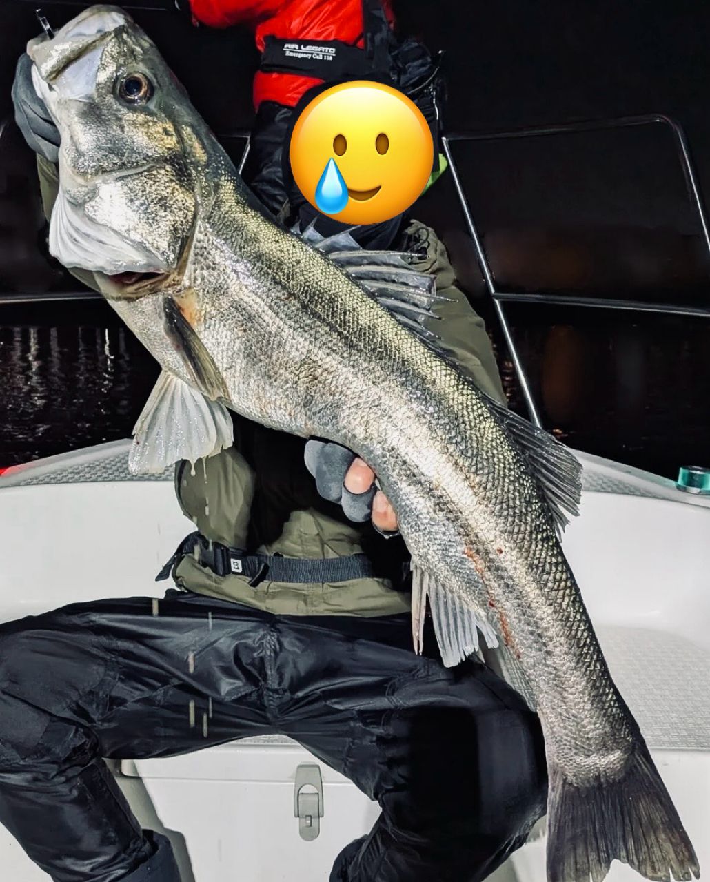 APIA グランデージ メガソウルの最安値・インプレ・釣果 | 本音の