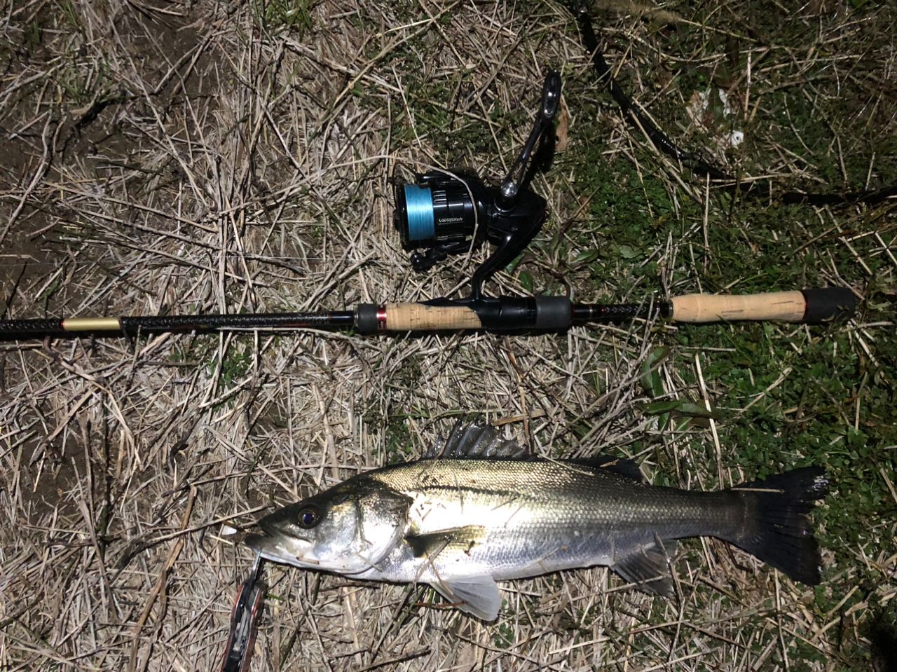 SHIMANO 19ヴァンキッシュ 4000XGの最安値・インプレ・釣果 | 本音の