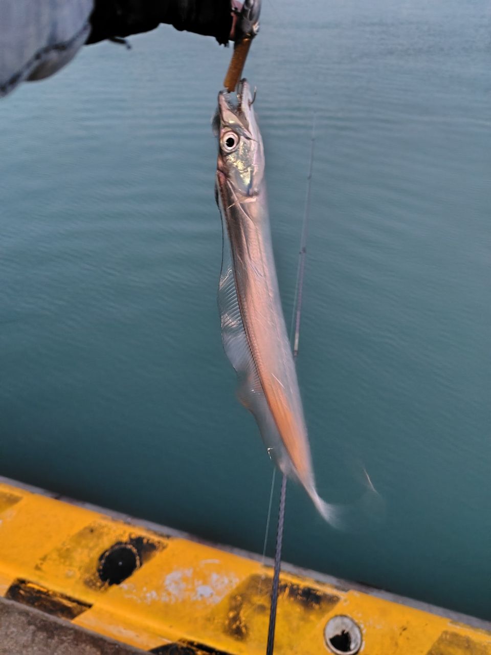 SHIMANO 22ソアレ SS アジング S64L-Sの最安値・インプレ・釣果 | 本音