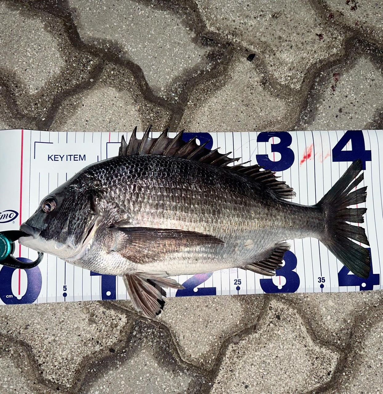 SHIMANO 18エクスセンスジェノス S96M/Rの最安値・インプレ・釣果