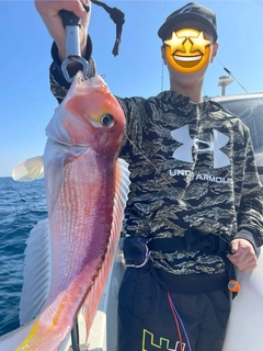 アマダイの釣果