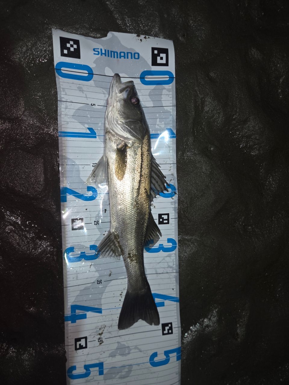 APIA 21フージン'RS 88MLの最安値・インプレ・釣果 | 本音の口コミ