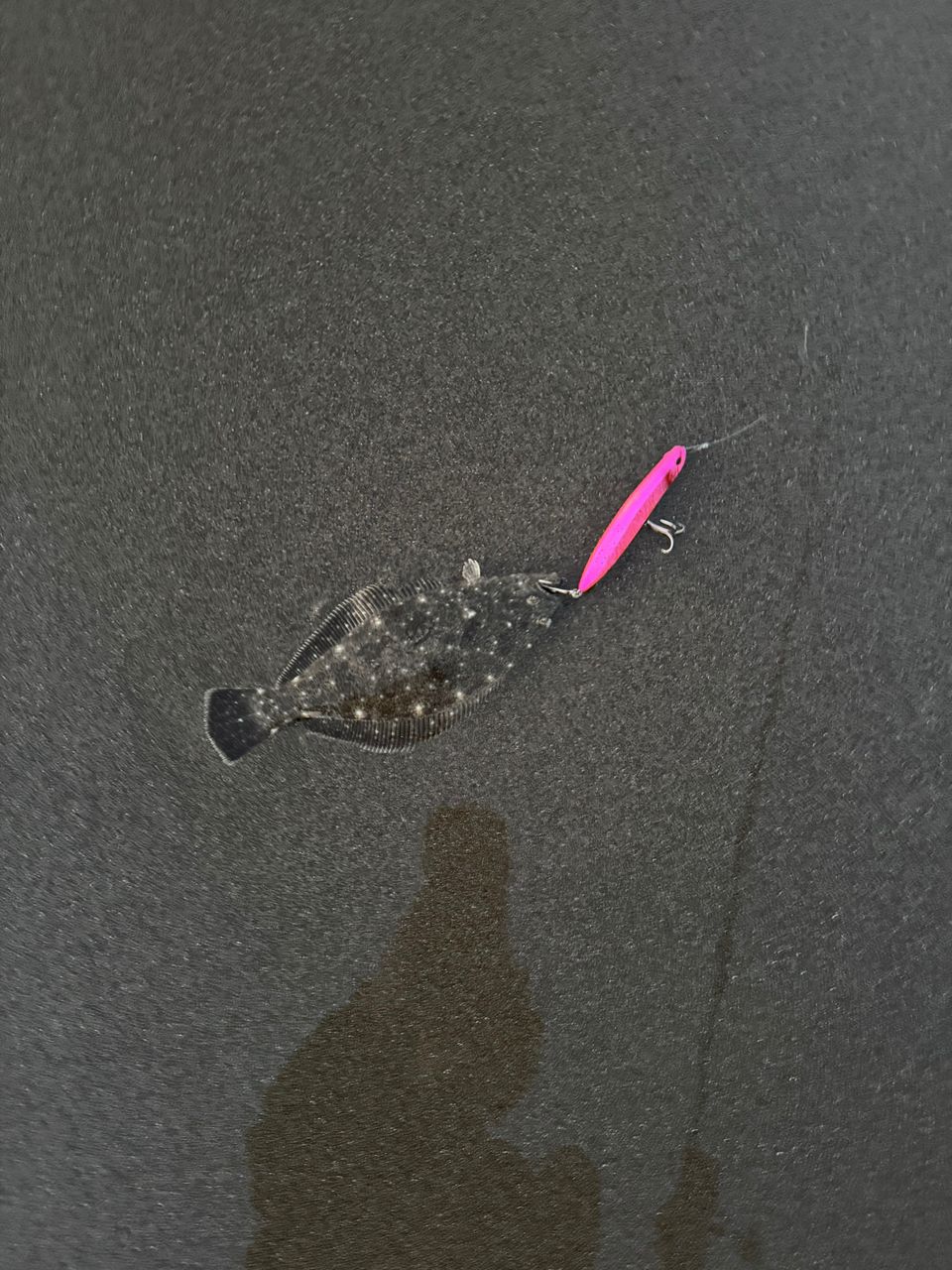 SHIMANO 23ネッサ リミテッド S1010M+の最安値・インプレ・釣果 | 本音