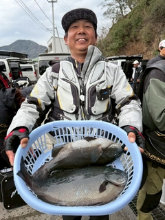 メジナの釣果