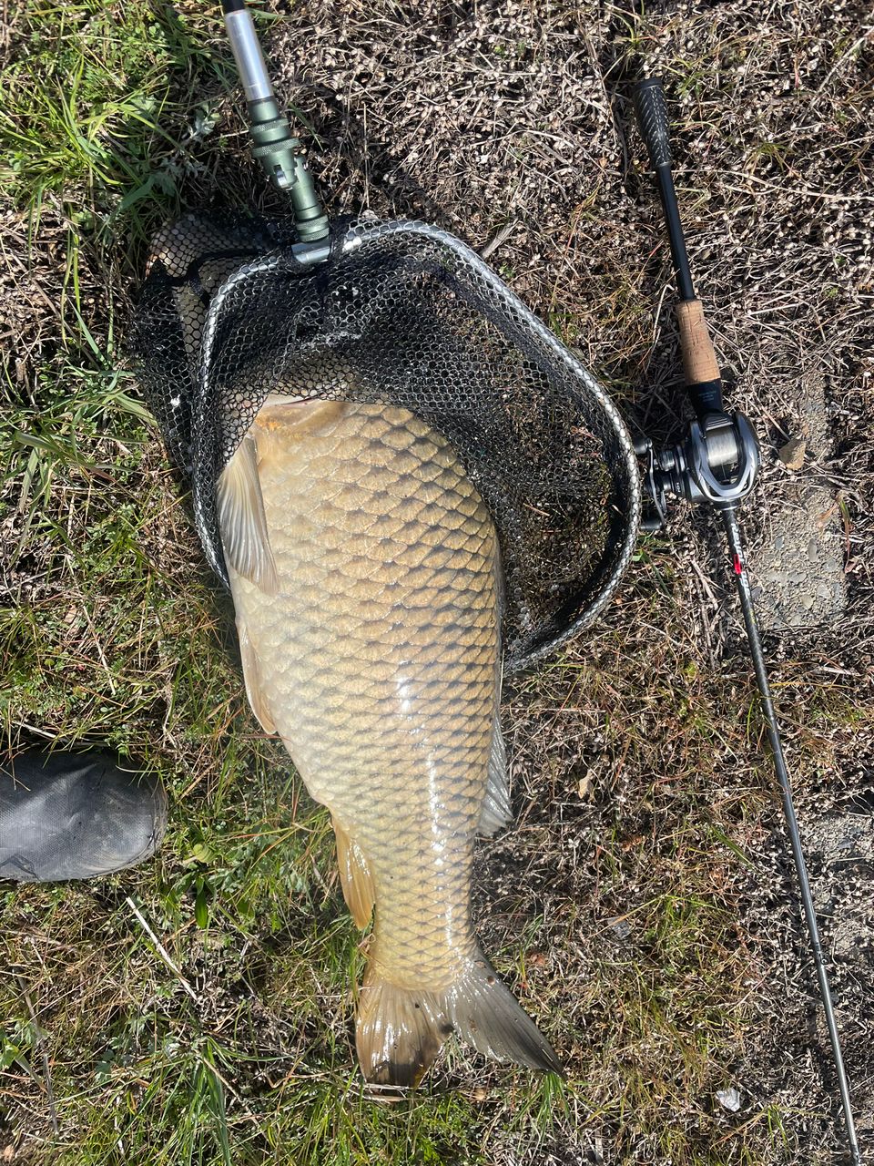 JACKALL リボルテージの最安値・インプレ・釣果 | 本音の口コミが