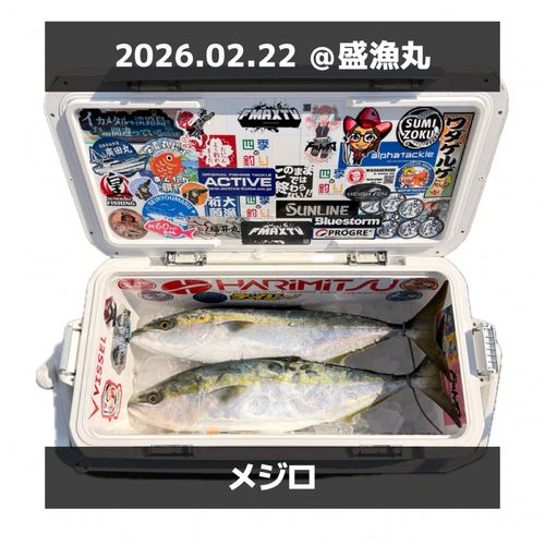 御所浦島で釣れたブリの釣り・釣果情報 - アングラーズ | 釣果600万件