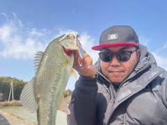 ラージマウスバスの釣果