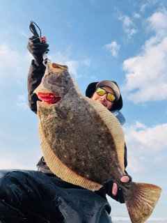 ヒラメの釣果