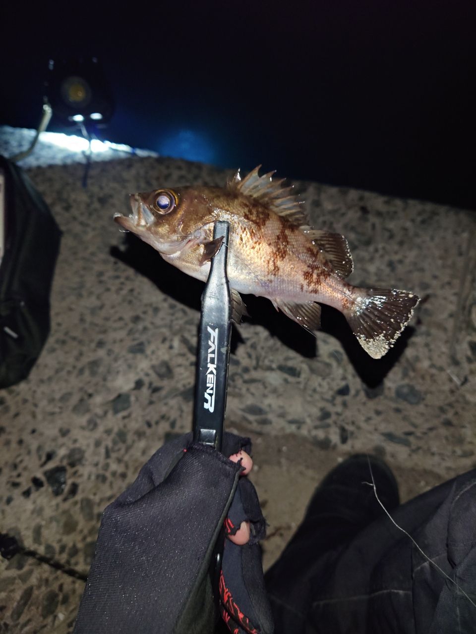 DAIWA 21ルビアス エアリティ FC LT2000S-Pの最安値・インプレ・釣果