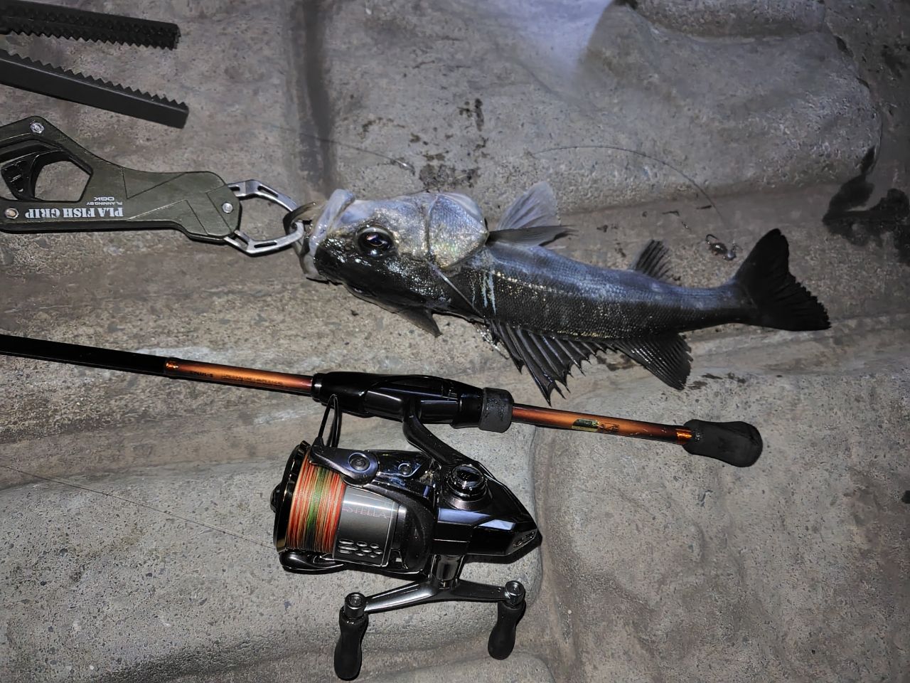 SHIMANO 19ソアレ BB S76UL-Sの最安値・インプレ・釣果 | 本音の口コミ