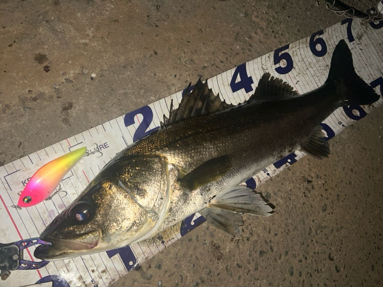 SHIMANO 19ヴァンキッシュ 4000XGの最安値・インプレ・釣果 | 本音の