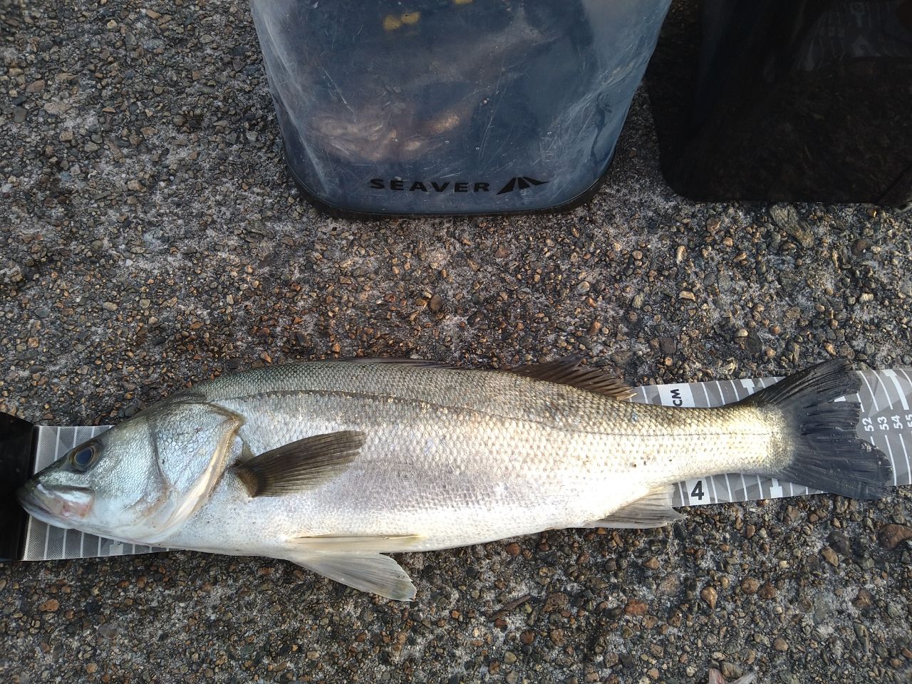 SHIMANO 23ルアーマチック（ソルトルアー推奨モデル） S86MLの最安値