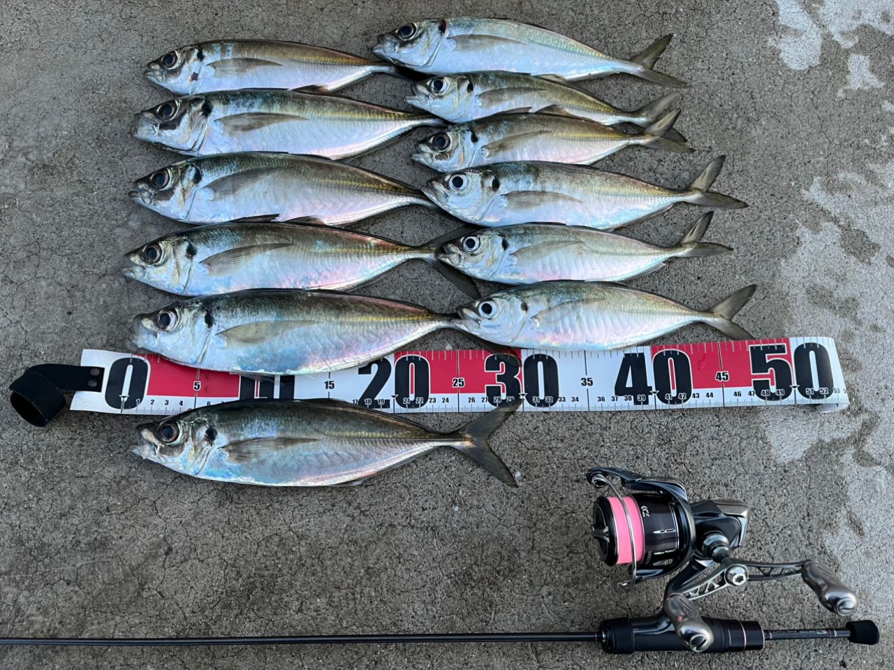 Gamakatsu ラグゼ 宵姫 華 弍 S54FL-solidの最安値・インプレ・釣果