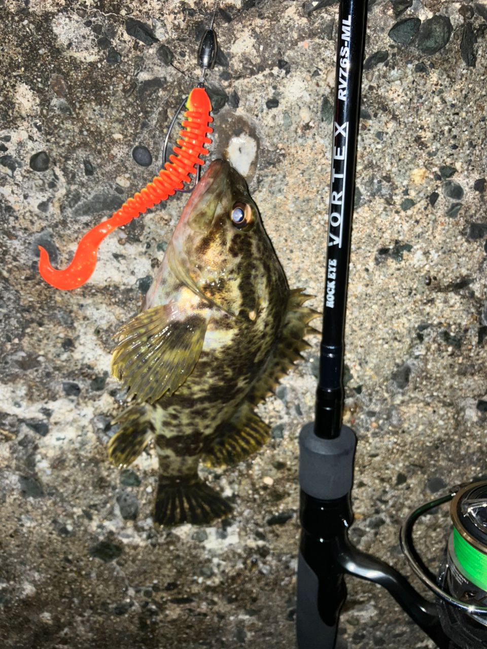 DAIWA 20ルビアス LT3000S-CXHの最安値・インプレ・釣果 | 本音の