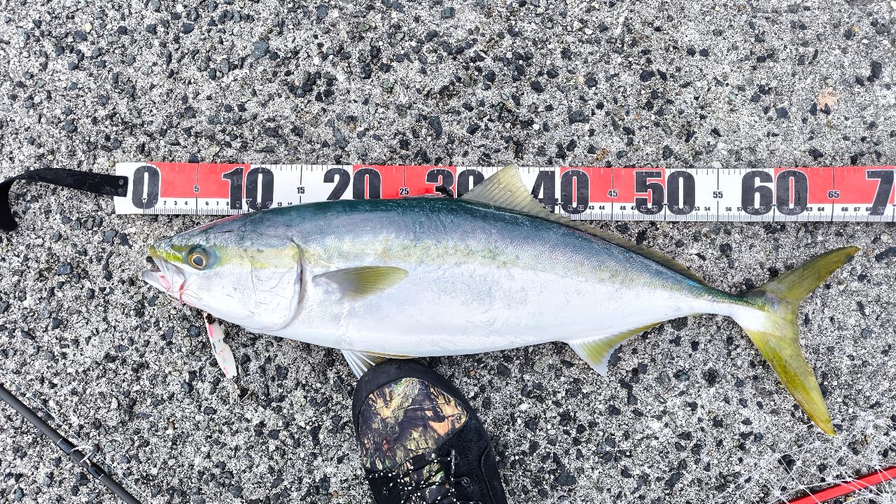 MajorCraft クロスライド 5G XR5-962Mの最安値・インプレ・釣果 | 本音