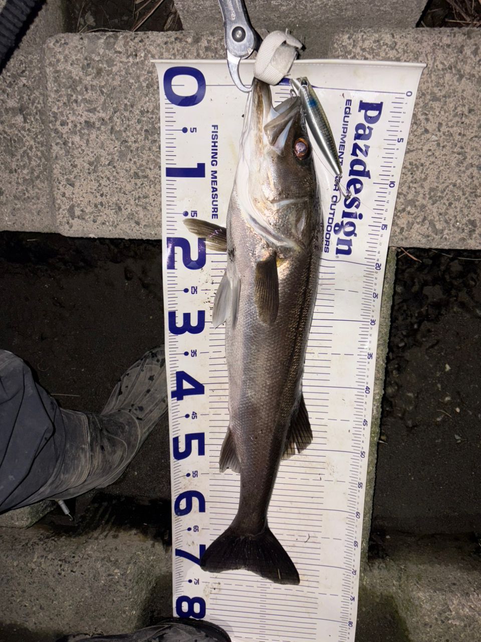 DAIWA 22イグジスト PC LT3000-XHの最安値・インプレ・釣果 | 本音の