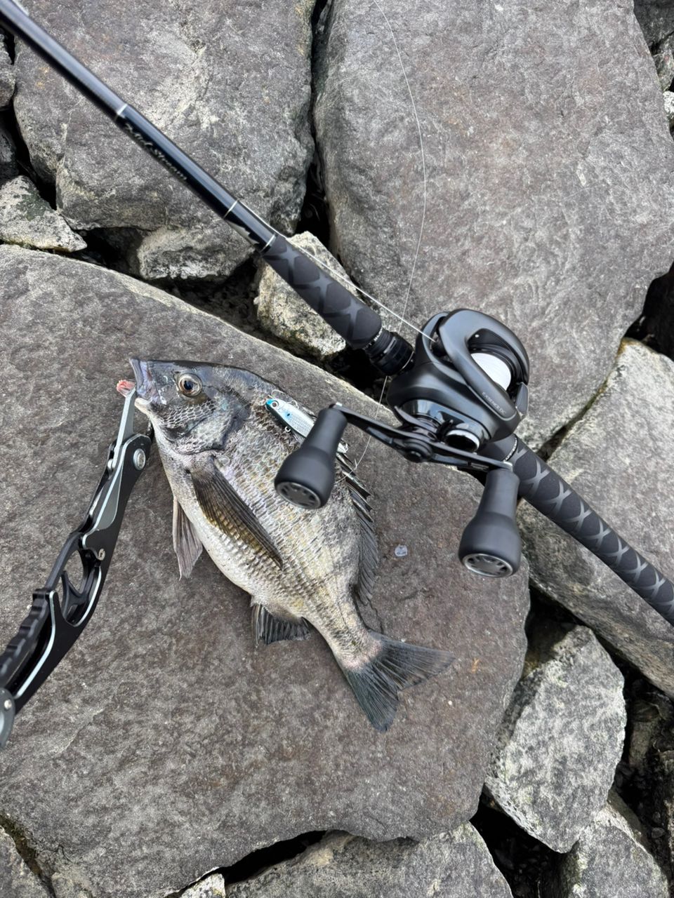 SHIMANO 22エクスセンス DC XG LEFTの最安値・インプレ・釣果 | 本音の