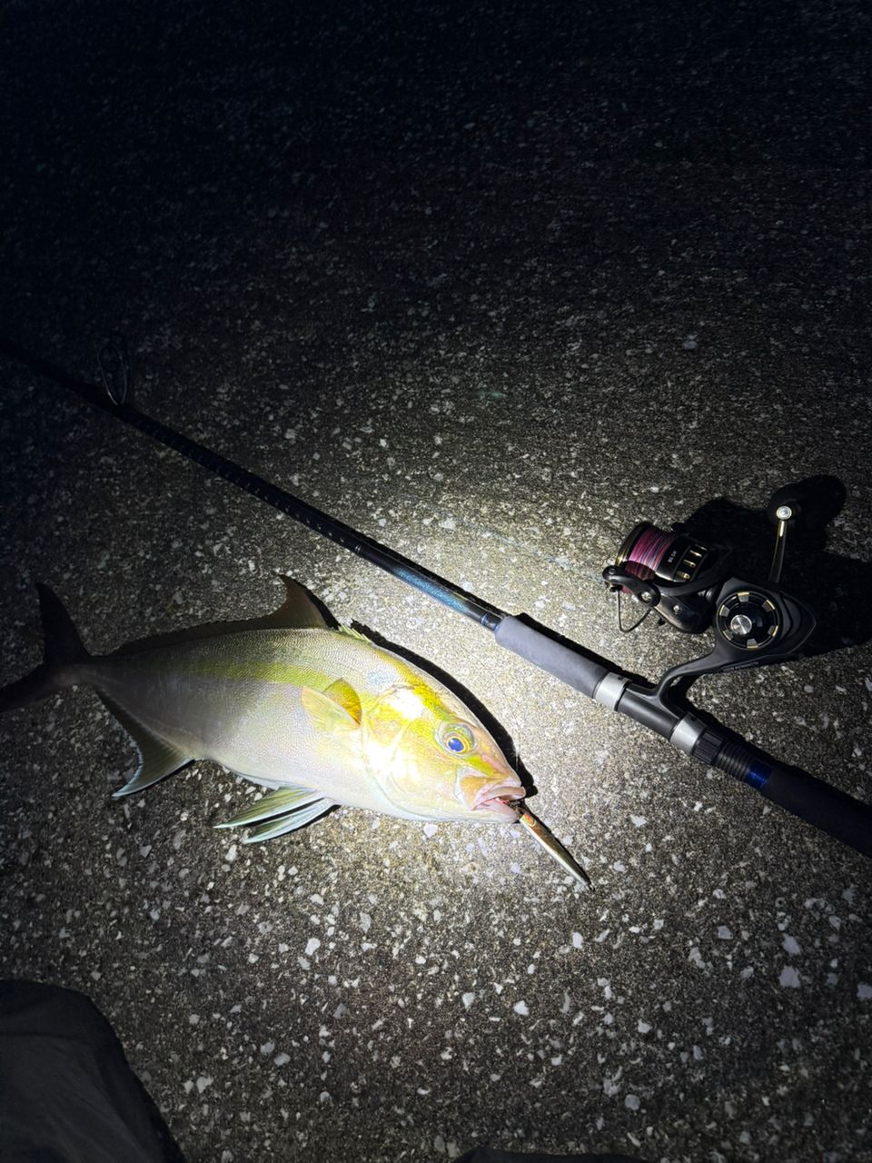 DAIWA 22ショアジギング X 96MHの最安値・インプレ・釣果 | 本音の