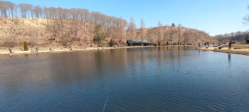 タイガートラウトの釣果