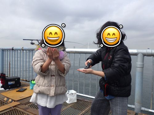 コノシロの釣果