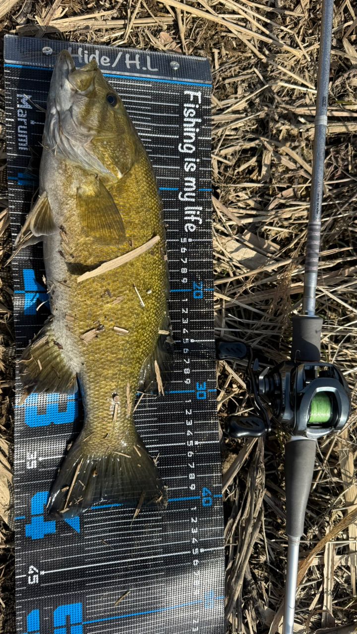 DAIWA 14ハートランド AGS 832MSB-SV AGS21の最安値・インプレ・釣果