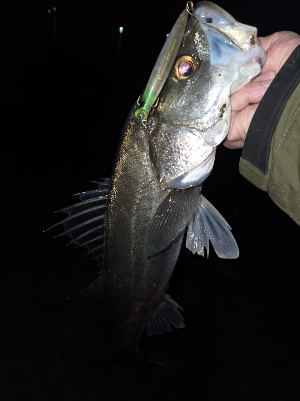 TENRYU スワット SW932S-LMLの最安値・インプレ・釣果 | 本音の口コミ