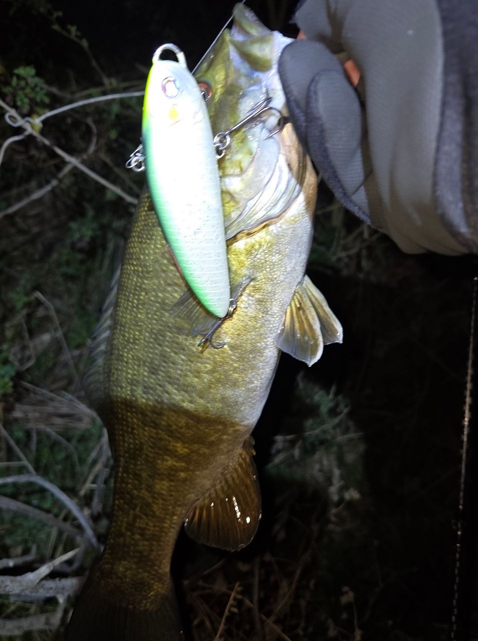 DAIWA 21ブレイゾン C610M-2の最安値・インプレ・釣果 | 本音の口コミ