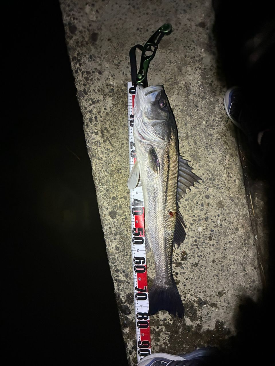 APIA フージン' AD HIGH ROLLER 104MLの最安値・インプレ APIA フージン' AD HIGH ROLLER 104MLの最安値・インプレ
