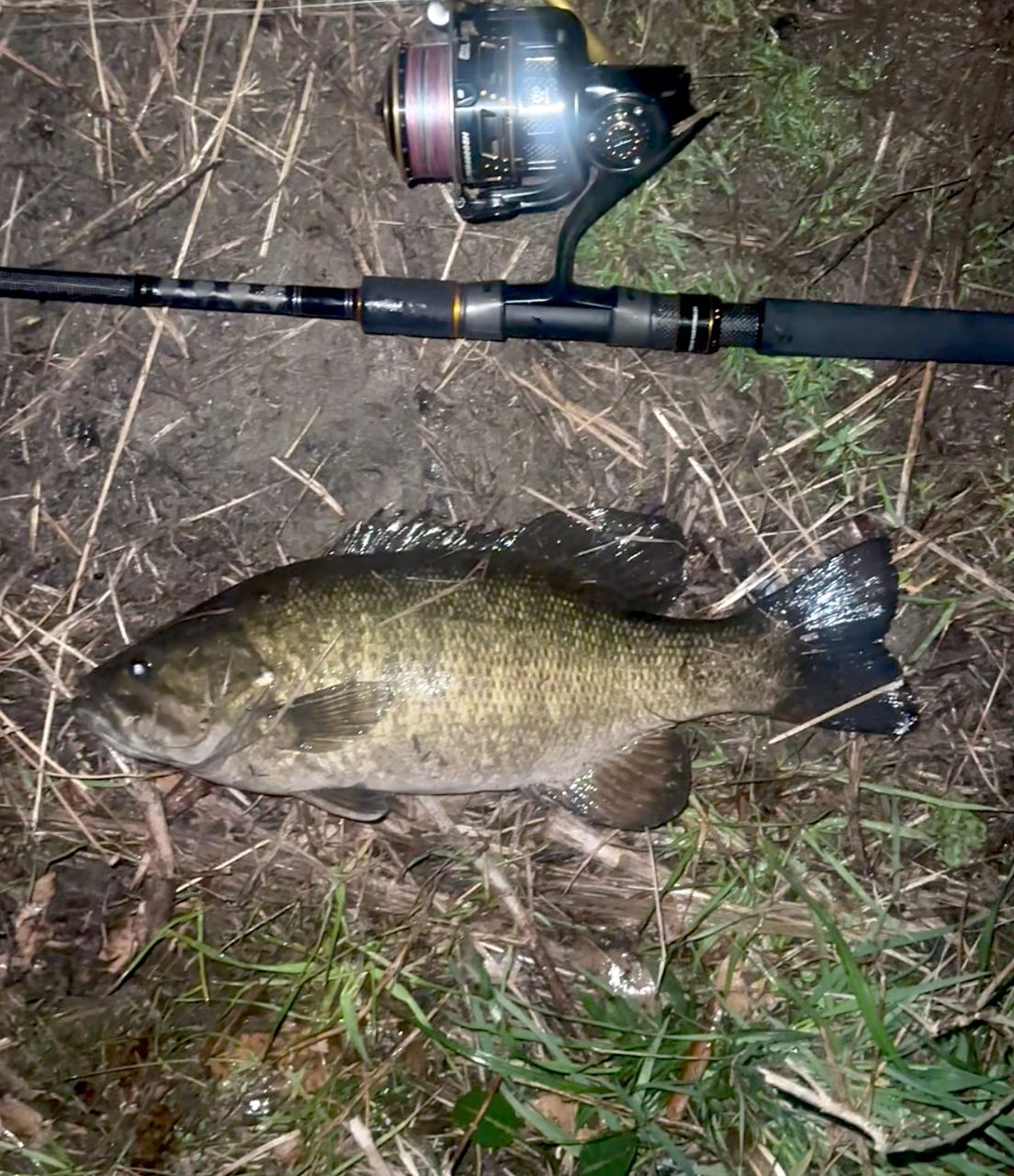 AbuGarcia ソルティースタイルライトショアジギング STLS-962M40-KRの