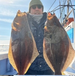 ヒラメの釣果