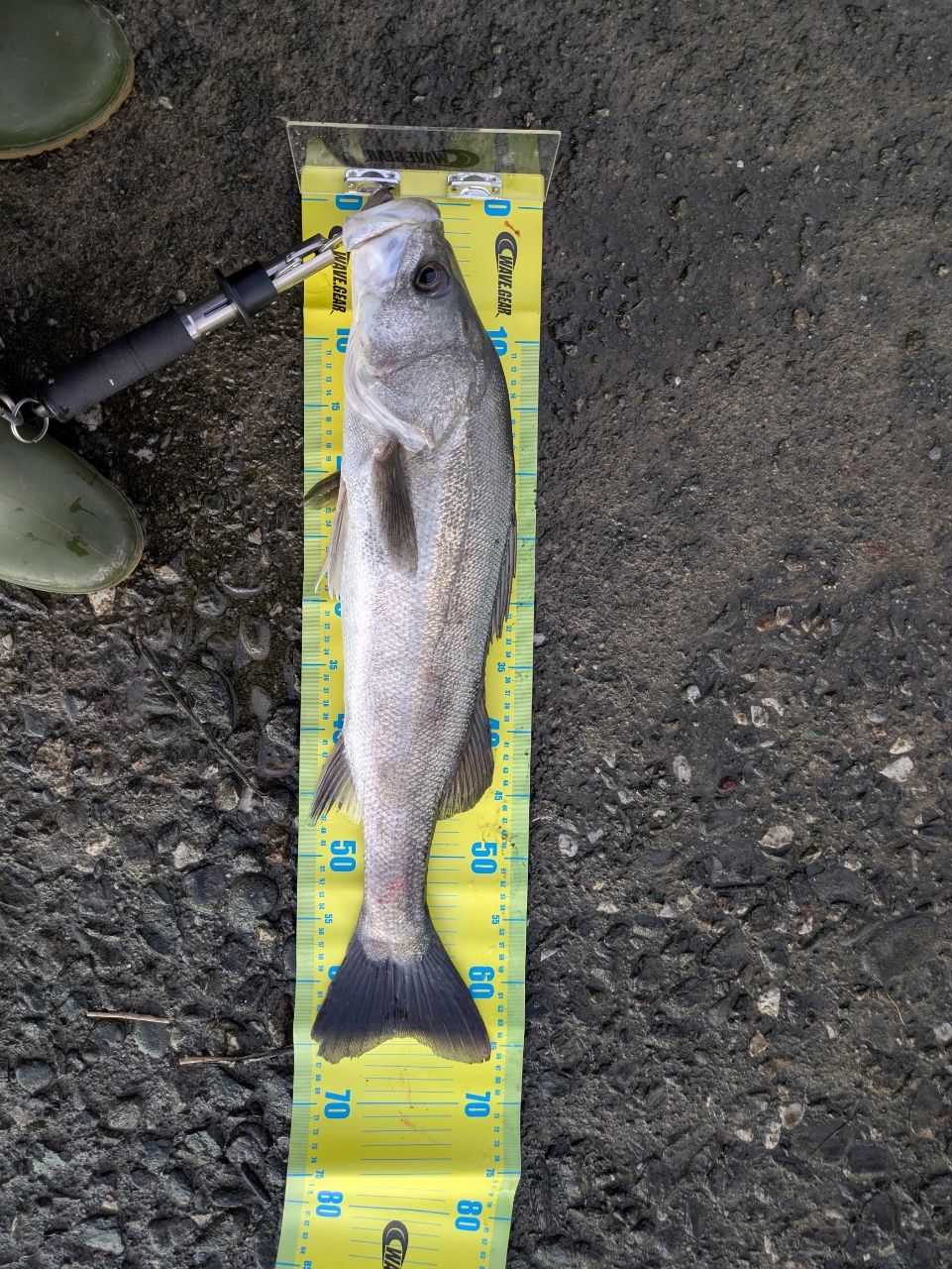 SHIMANO 22バンタム 168XH-SB/2の最安値・インプレ・釣果 | 本音の