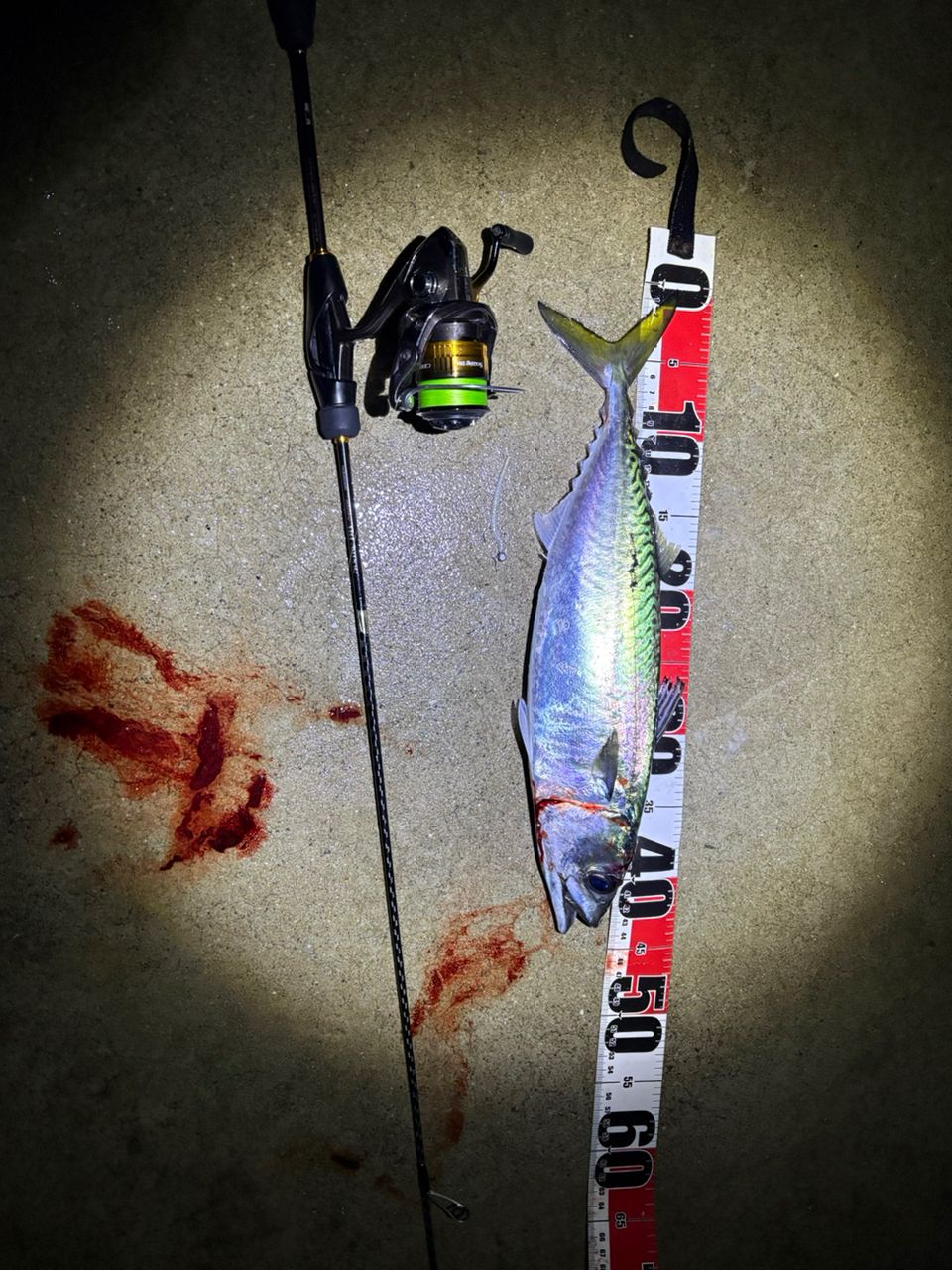 SHIMANO ソアレ BB 2023年モデルの最安値・インプレ・釣果 | 本音の