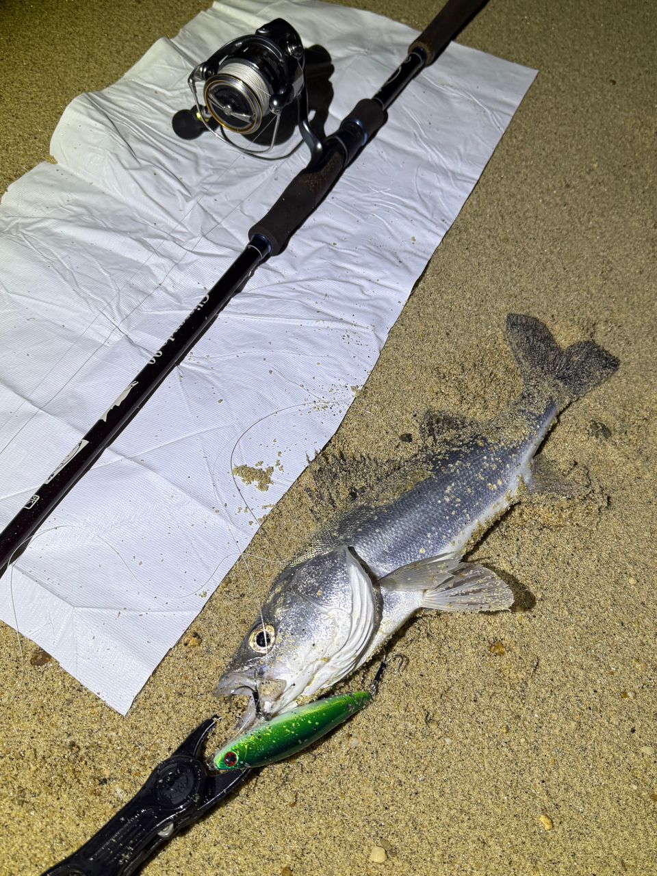 TULALA グリッサンドの最安値・インプレ・釣果 | 本音の口コミが集まる