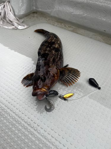 釣果
