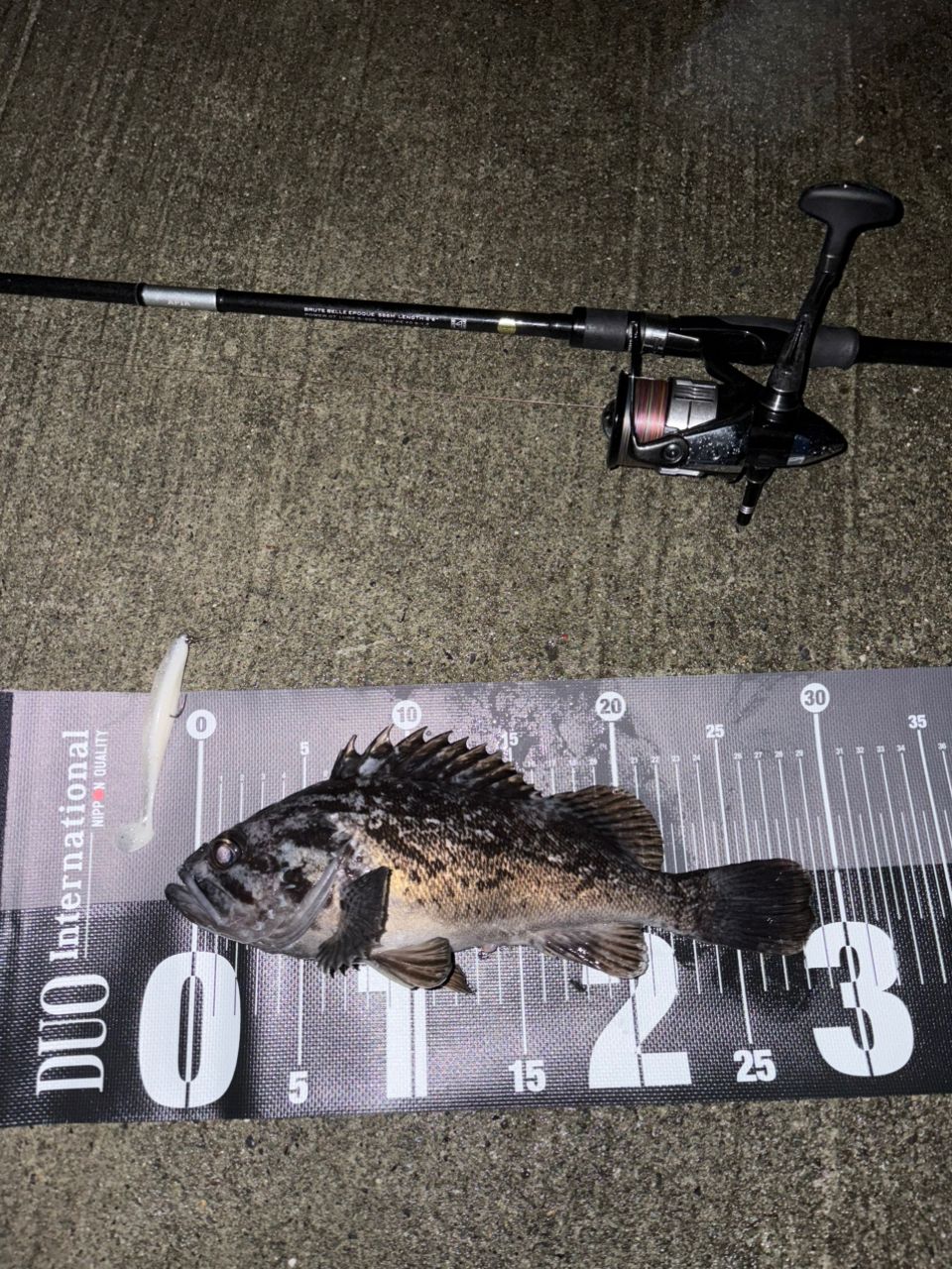 SHIMANO 23ヴァンキッシュ C3000MHGの最安値・インプレ・釣果 | 本音の