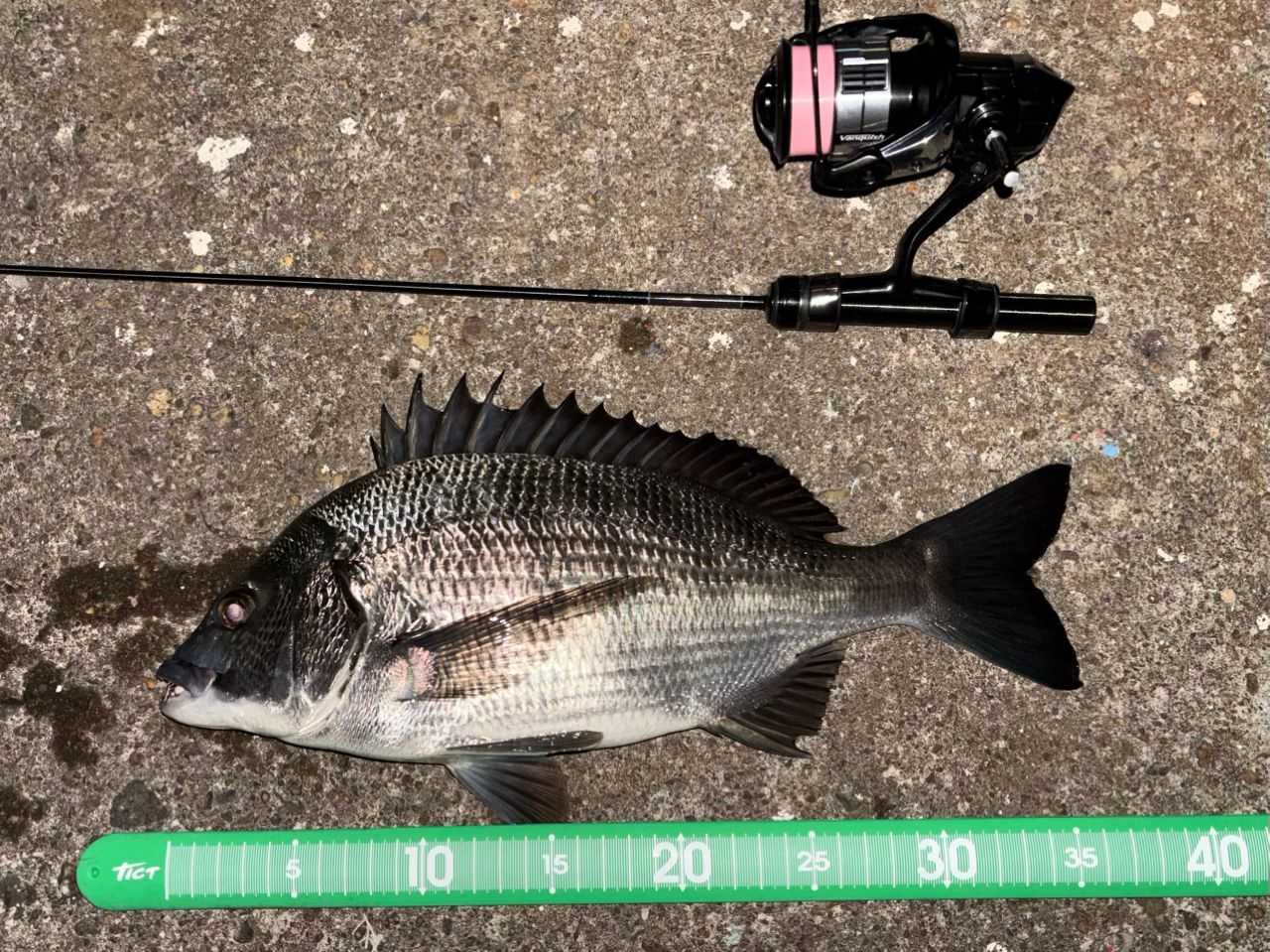 Gamakatsu ラグゼ 宵姫 天 S48AL-solidの最安値・インプレ・釣果