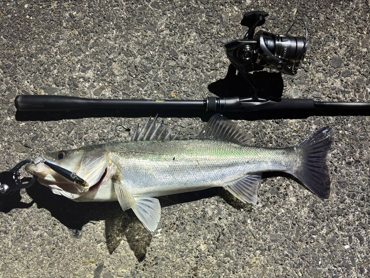 SHIMANO 23ディアルーナ S96MLの最安値・インプレ・釣果 | 本音の